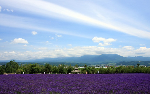 639867 (a): :1680x1050